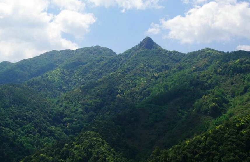 包括了墨江,镇沅,景东,南涧四县境内的古茶山,均属于哀牢山西坡茶山